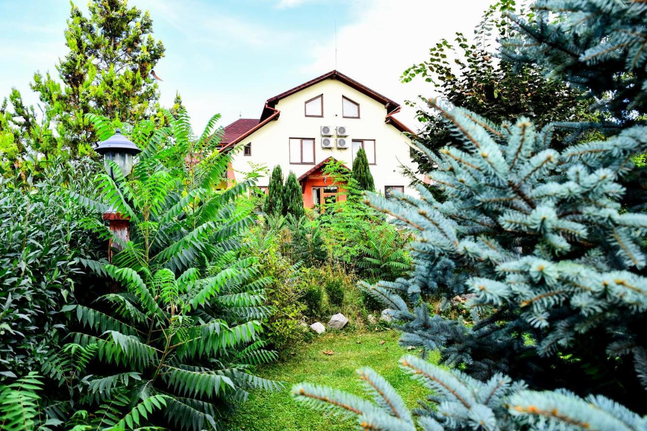Hotel Casa Moteasca Mihai Viteazu  Exteriér fotografie