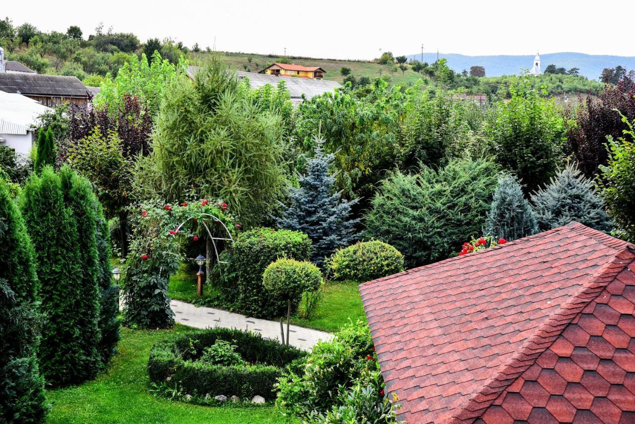 Hotel Casa Moteasca Mihai Viteazu  Exteriér fotografie