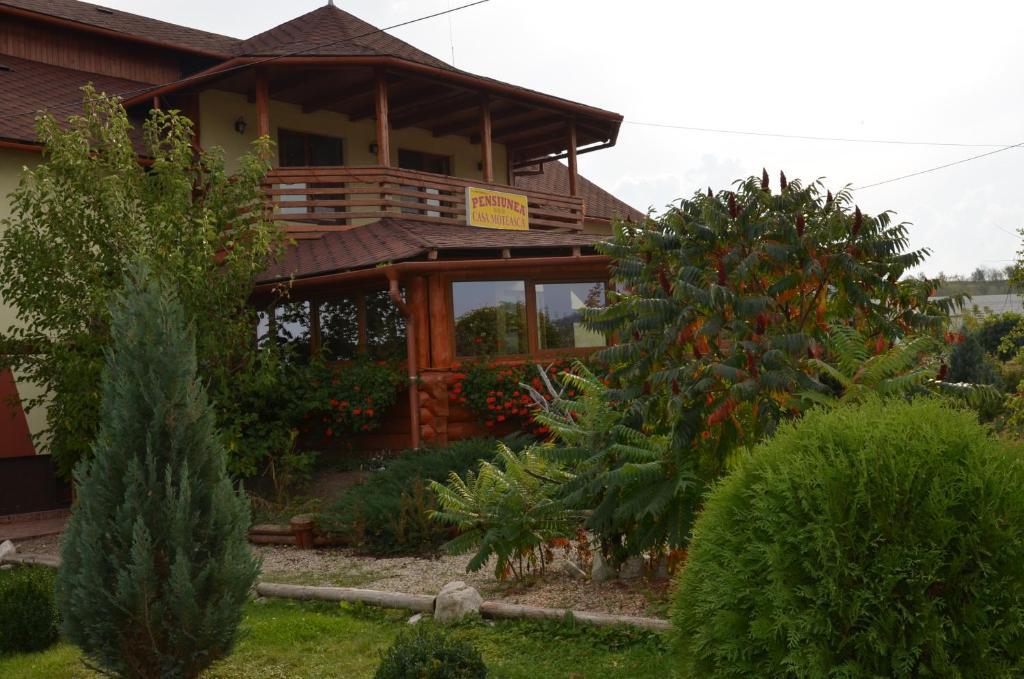 Hotel Casa Moteasca Mihai Viteazu  Exteriér fotografie