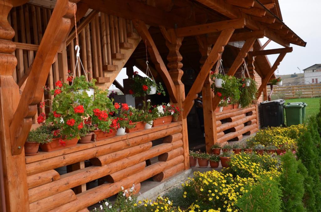 Hotel Casa Moteasca Mihai Viteazu  Exteriér fotografie